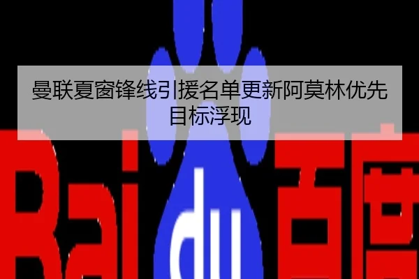 曼联夏窗锋线引援名单更新阿莫林优先目标浮现